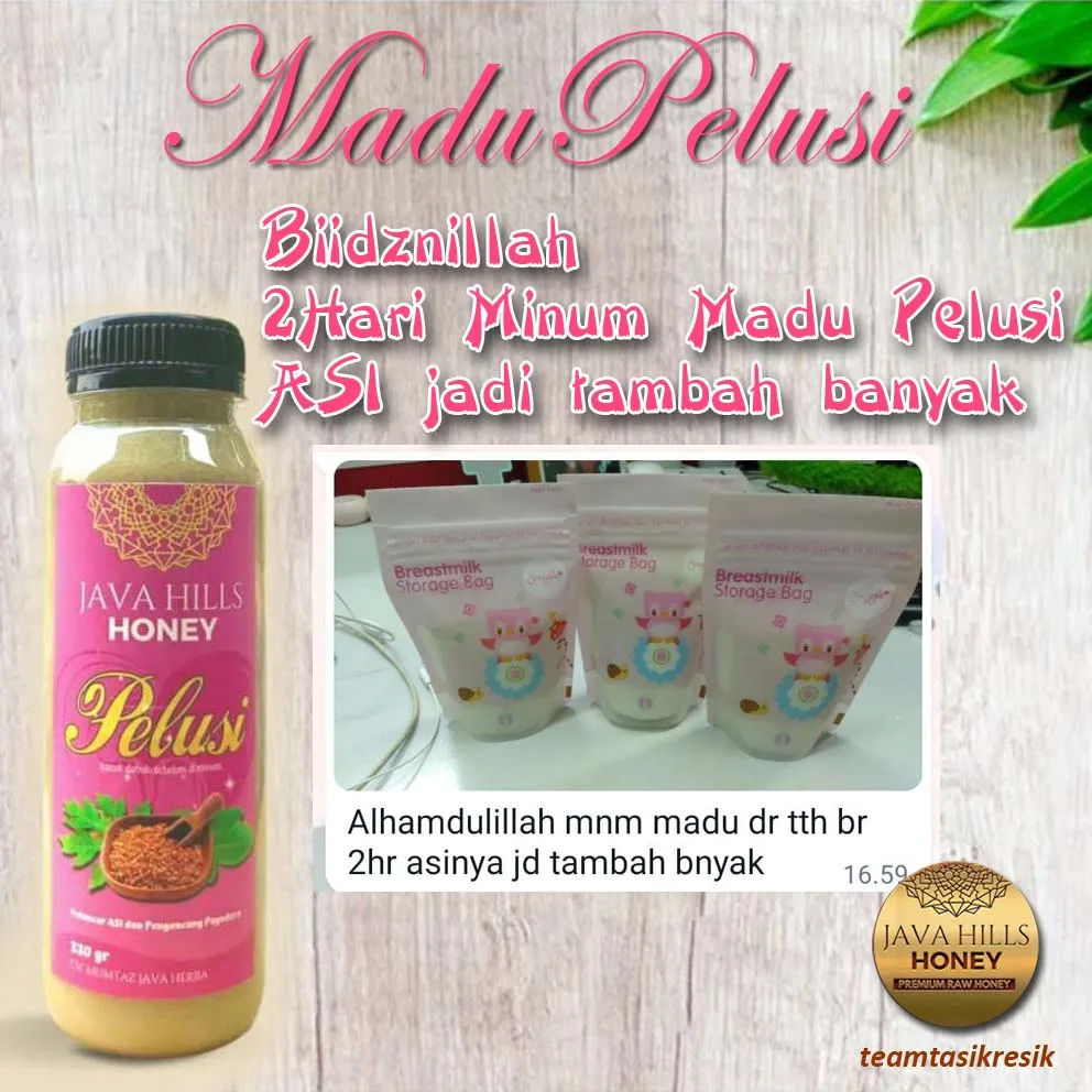 Madu Pelusi deras ASI